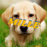Mille9612
