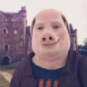 damparen