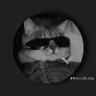 Kindomsc