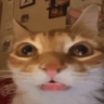 milo_the_guy