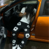 realica_macxi