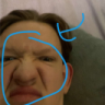 H.nb