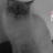 Elliot WJLK