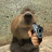 Williamm06