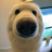 Wilhelm_dif