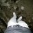 Owen.099