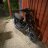 Bictor08