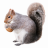 kladdis