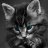 Katten31