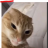 vinlyx