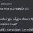 Talmannen