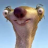 Saiofi