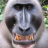 Alfred123_
