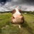 Lello_2321