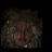 lille albin