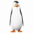 kowalski_