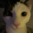 Plutt