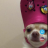 MrDuck1
