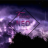 Neo_817