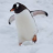 Pingvinen__