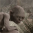 zaki1234_
