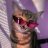 Guzzen_