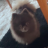 torbo#2