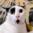 vic.ster