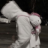MR_HoHo