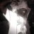 challe.balle12