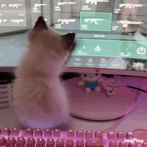 d23c8c9b2d52071ecc4f93afacd37951.gif