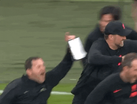 giphy.gif