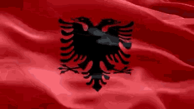 Flag Albanian Flag GIF - Tenor GIF Keyboard - Bring Personality To Your  Conversations | Say more with Tenor | Albanian flag, Flag gif, Albania flag