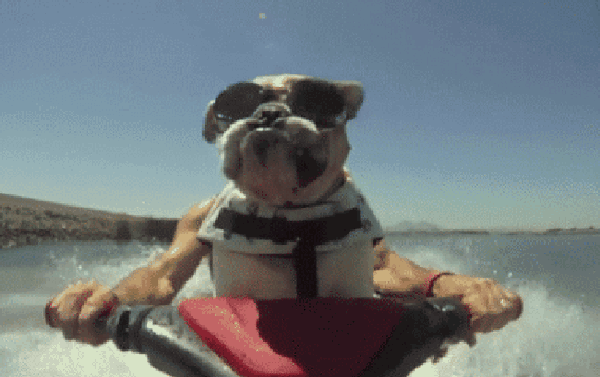 c3e2dd8e19c0935d159f48ef468c8324.gif