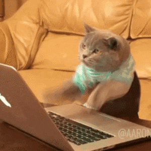 5800c8fdbc2c578383746189f52ac292.gif